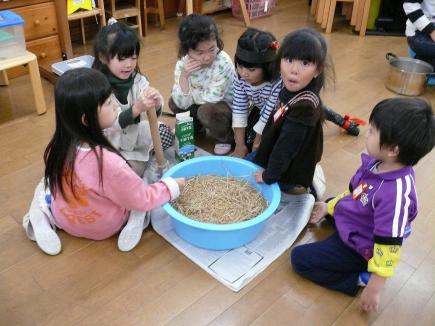 ちゅうりっぷさんもやってみています
