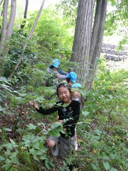 そこも道ではないように思うのでありますが・・・。