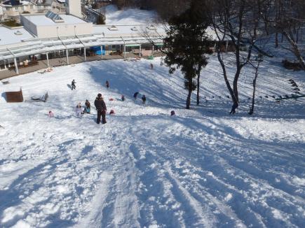 山頂からの風景