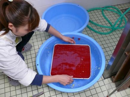 水に入れてばらばらにします