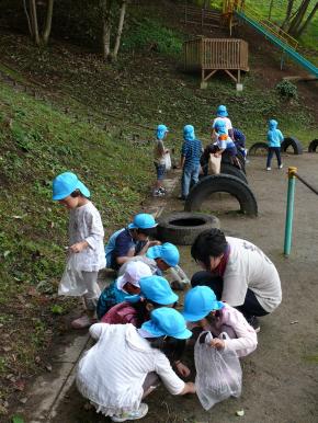 こちらは、草取り中