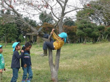 木登りだー！